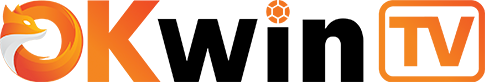 vnokwintv.com Logo